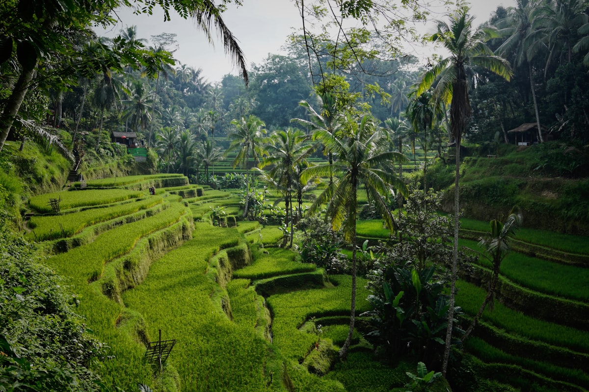 Bali Accommodation Guide: Villas, Resorts & Ubud Retreats